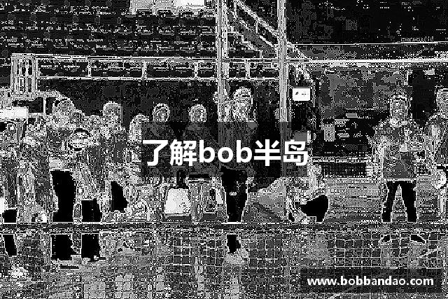 了解bob半岛